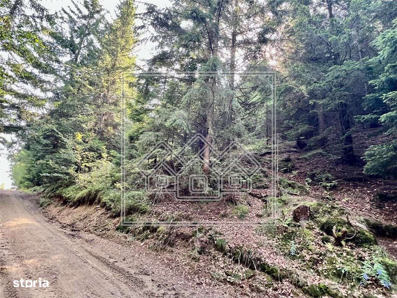 Teren de vanzare - 11200 mp - Zona Paltinis Arena - Imagine principală: 5/9