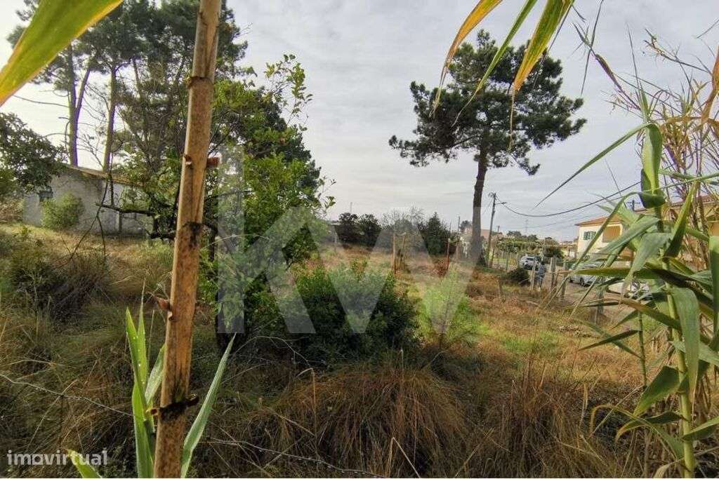 Terreno com 1506m2 para Construção - Grande imagem: 4/9