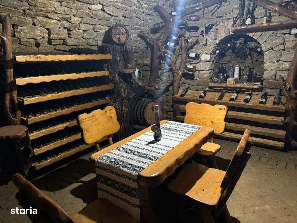 Vila exclusivista -Family Market Bucium - Imagine principală: 4/13