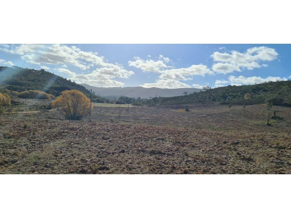 Monte Alentejano com projecto-7