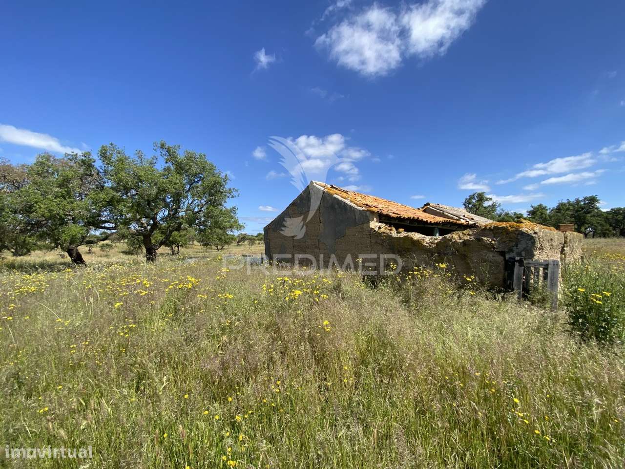 Herdade com ruína para reconstruir - Grande imagem: 4/18