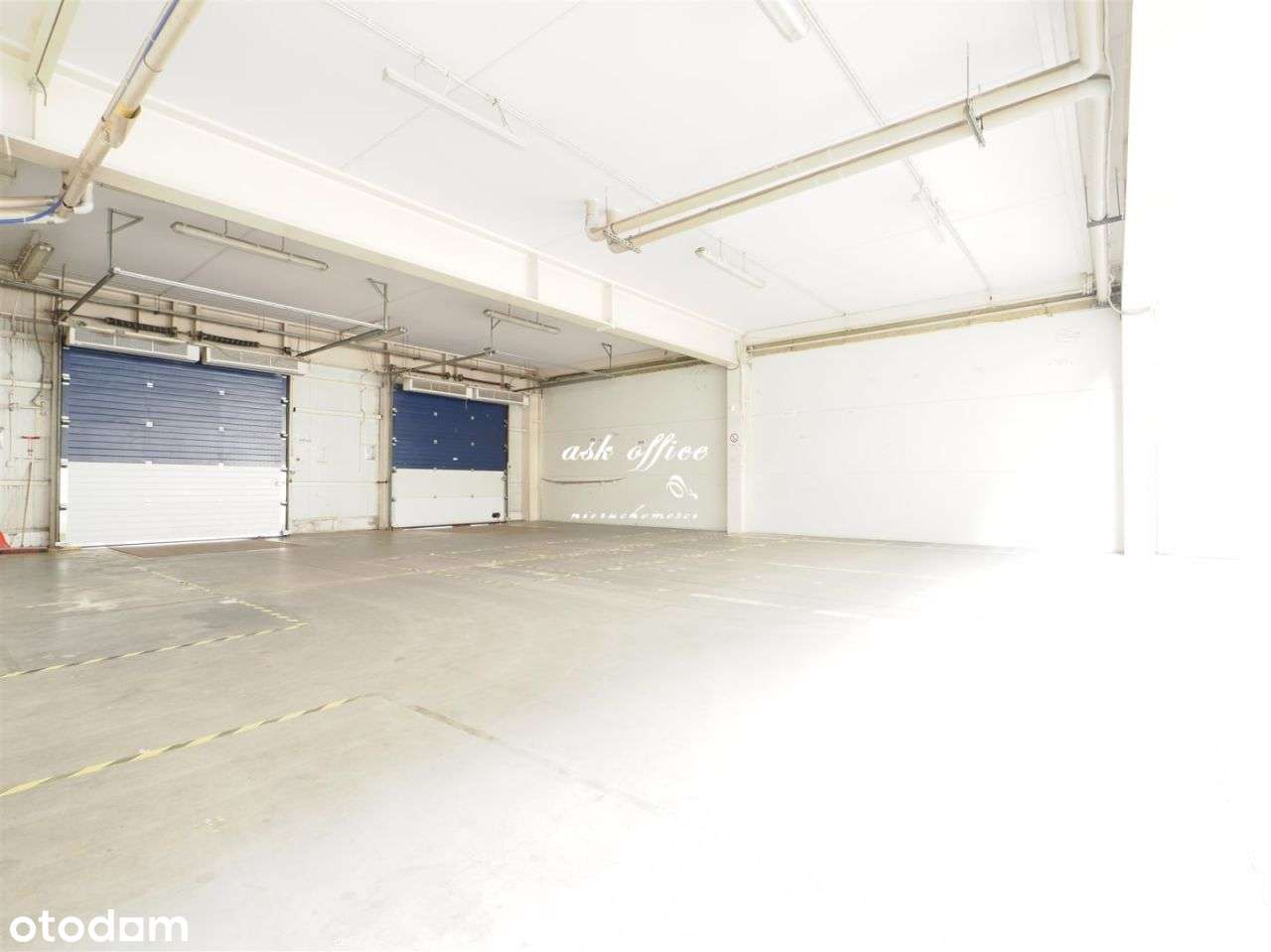 Hala/Magazyn, 1 138 m², Wrocław - Pełny obrazek: 4/10