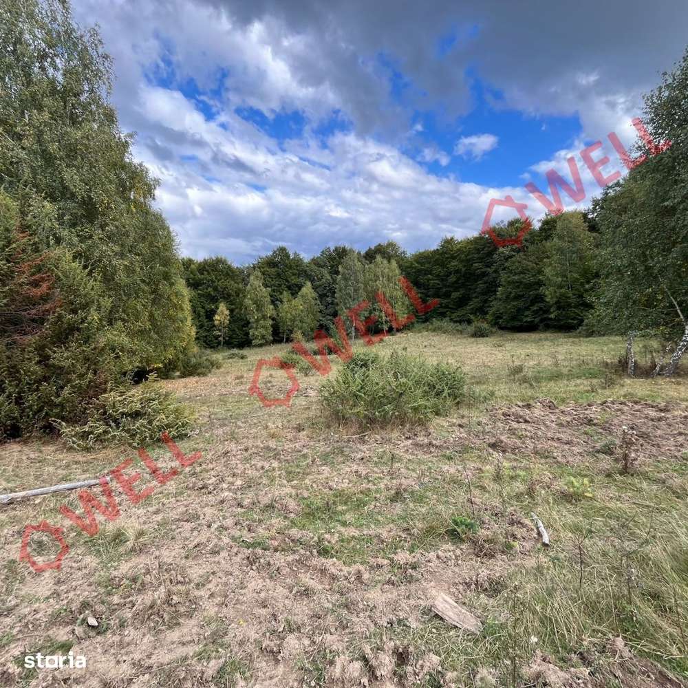 De vânzare o pășune la 5 km de Cernat! - Imagine principală: 3/4