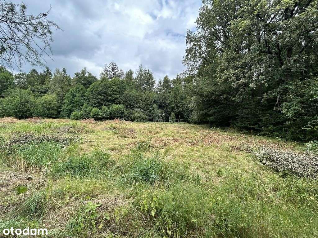 Działka w Górzyńcu w otoczeniu drzew z mediami. - Pełny obrazek: 4/7