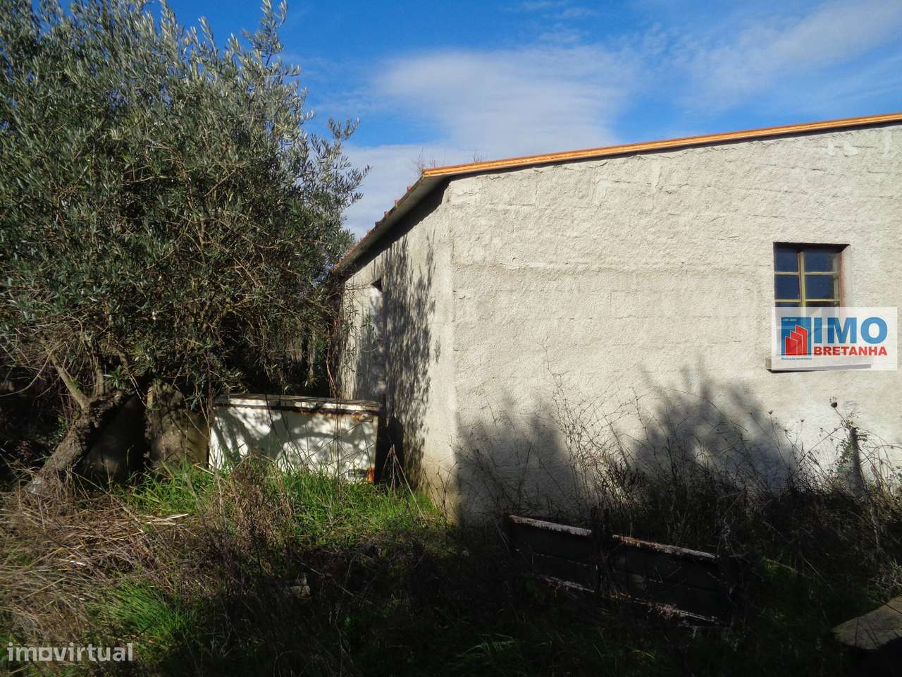 Quinta - Zona de Alcaria - Fundão - Grande imagem: 4/23