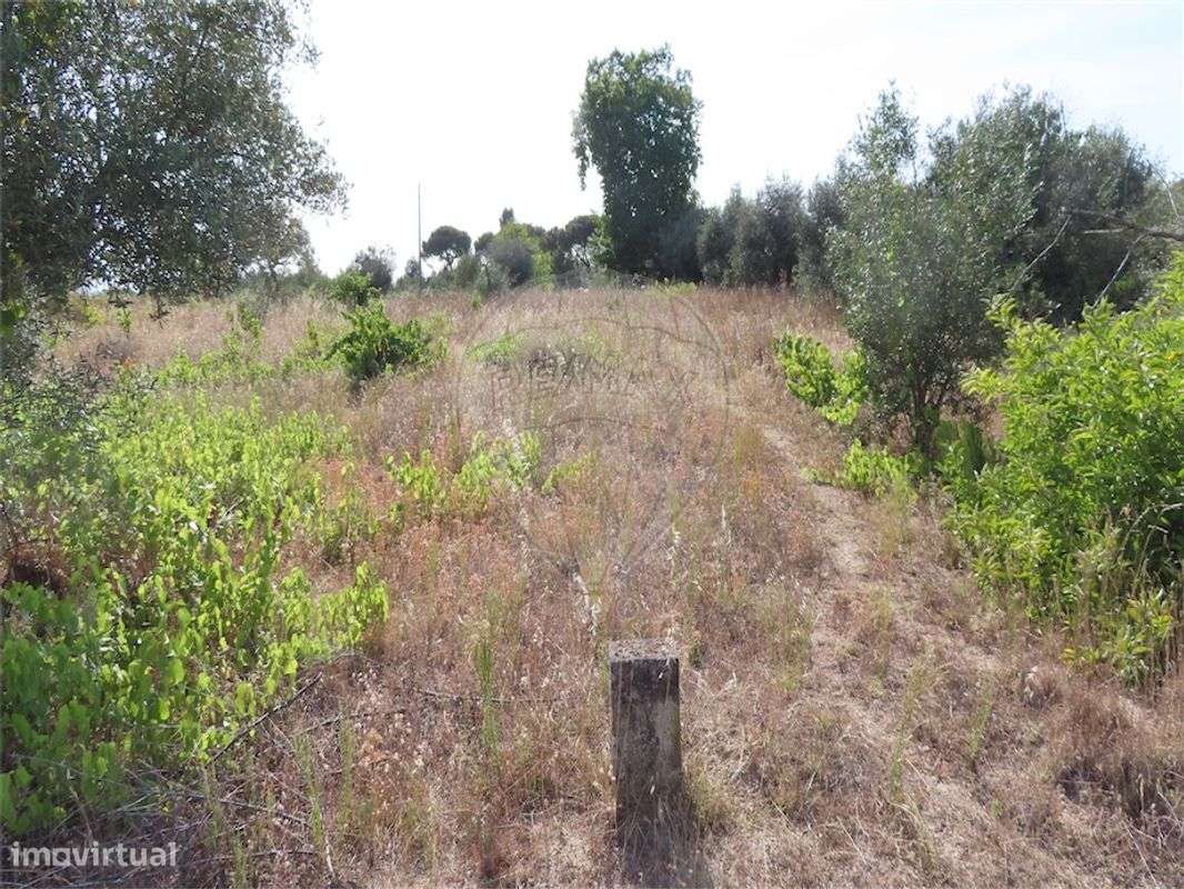 Quinta  para venda - Grande imagem: 5/12