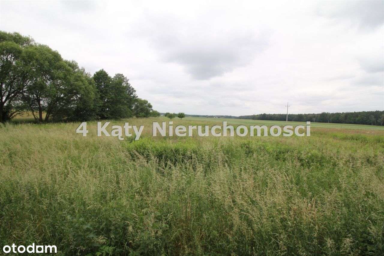 Marydół gm. Ostrzeszów Działka 3213 m2 - Pełny obrazek: 5/19