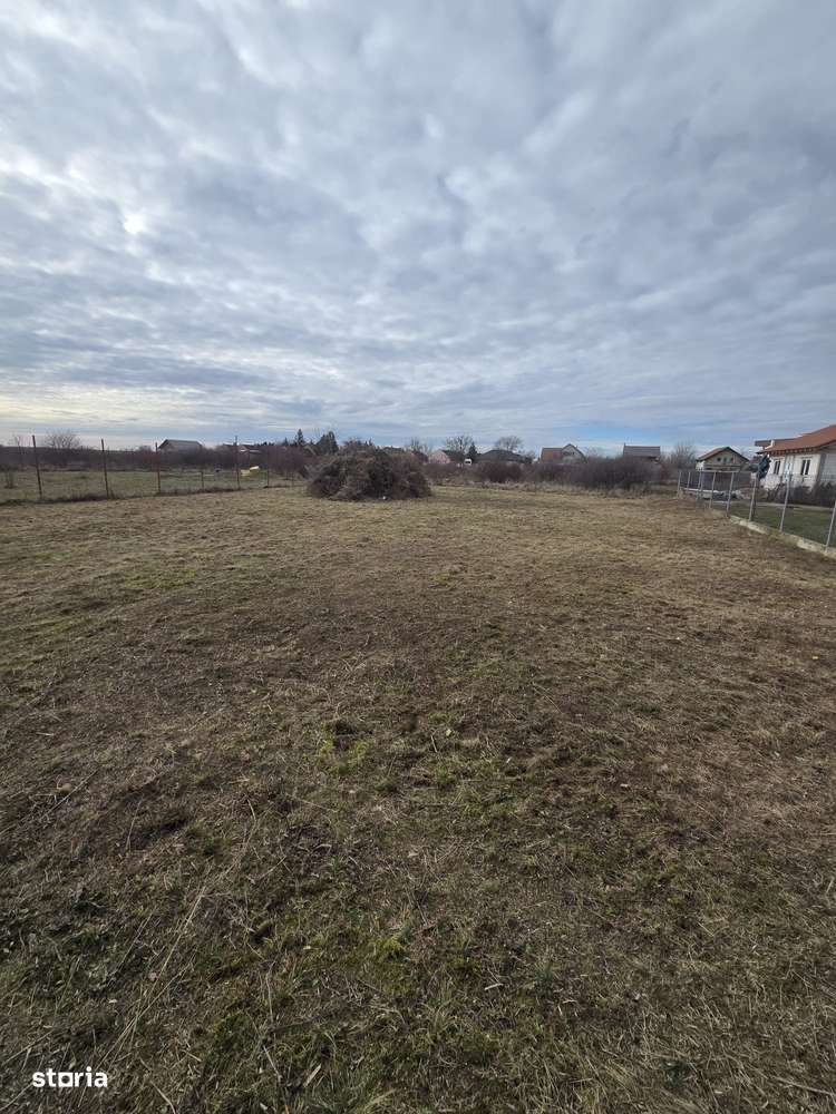 Loc de casa 500 mp, F.S. 20 ml, loc. Bodrogu Nou (com. Zadareni)-0