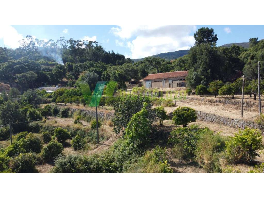 Terreno Misto em Monchique, Com Armazém e Casa Para Restaurar - Grande imagem: 5/25