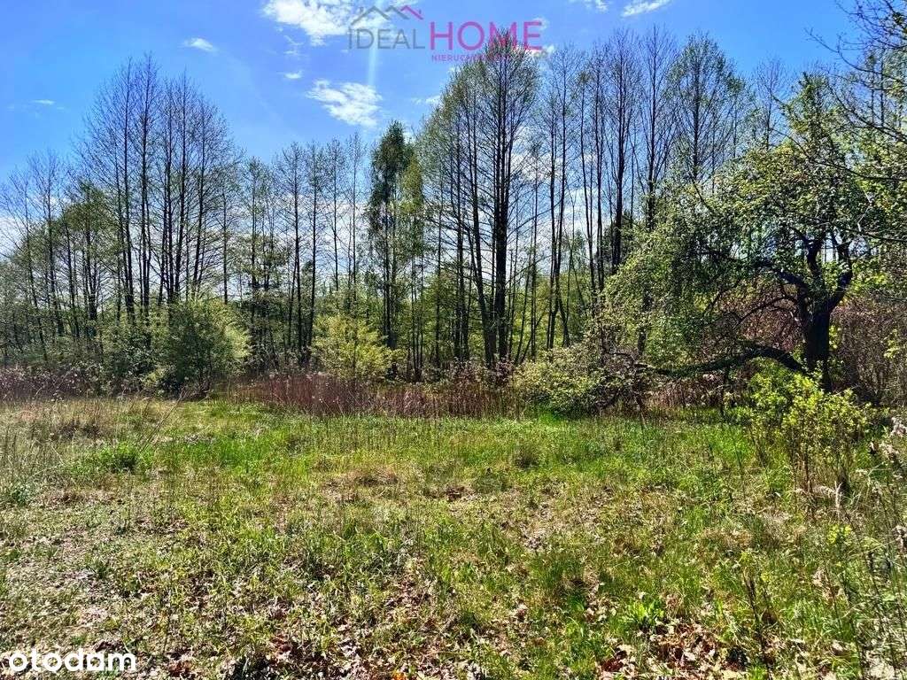 Dom na sprzedaż - Majdan Królewski 2,12ha działki-13