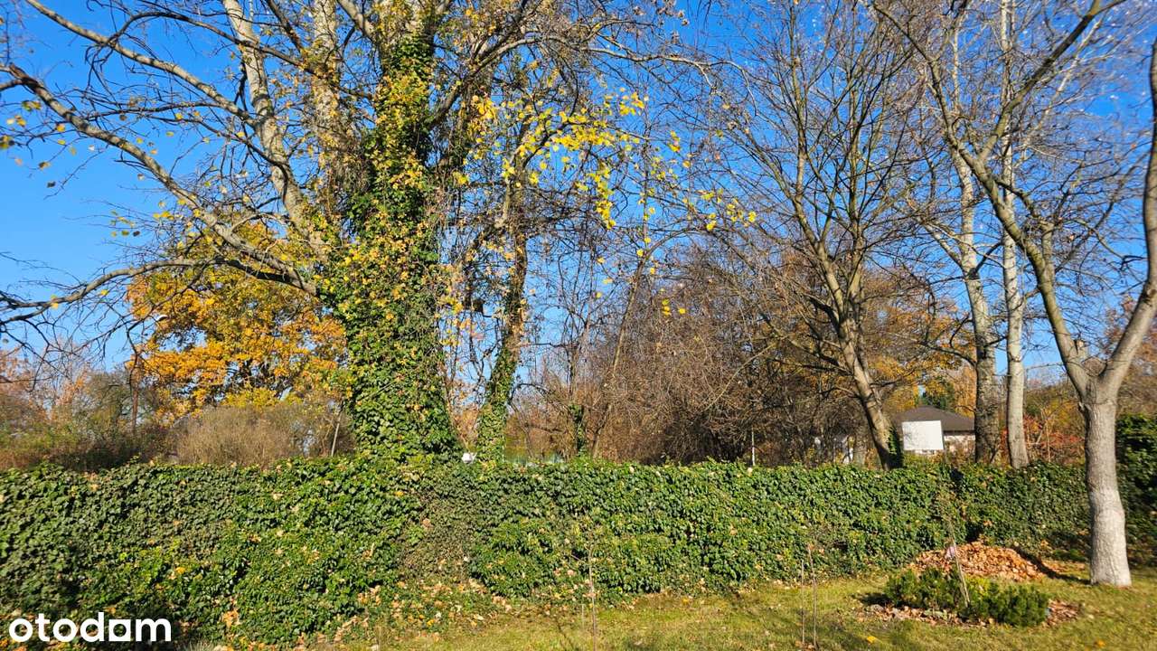 Dom WOLNOSTOJĄCY 110m2 z DUŻYM OGRODEM 1000m2 Wrocław Pawłowice-17