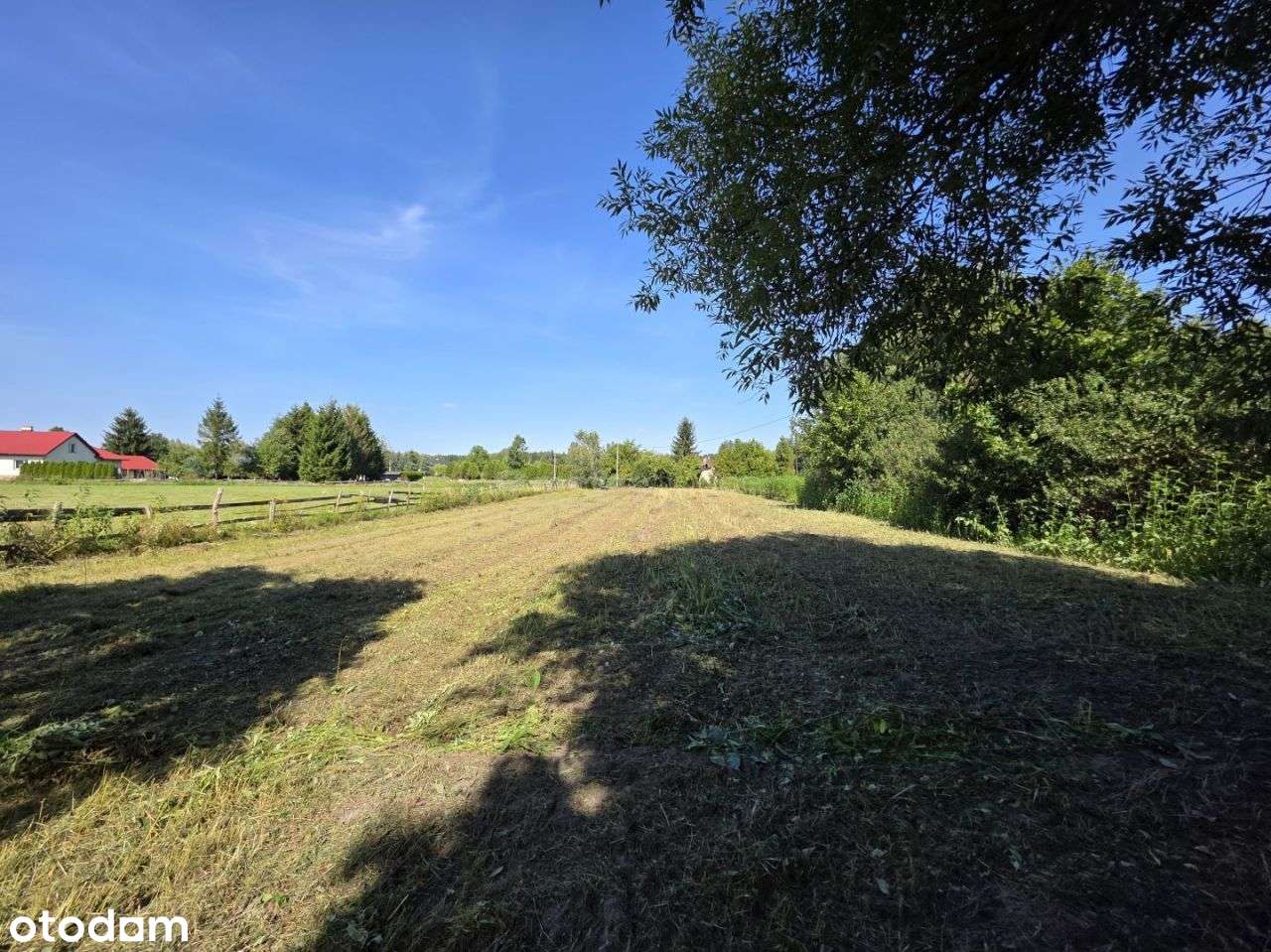 Tani dom 200m2 z działką 4200m2 w Chotyłowie - Pełny obrazek: 4/17