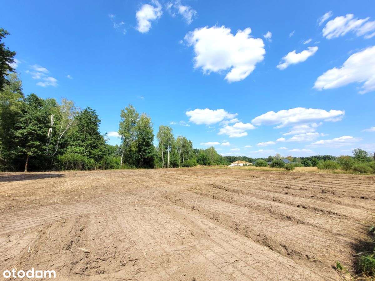 Okazja - Duża działka z WZ - Pełny obrazek: 5/12