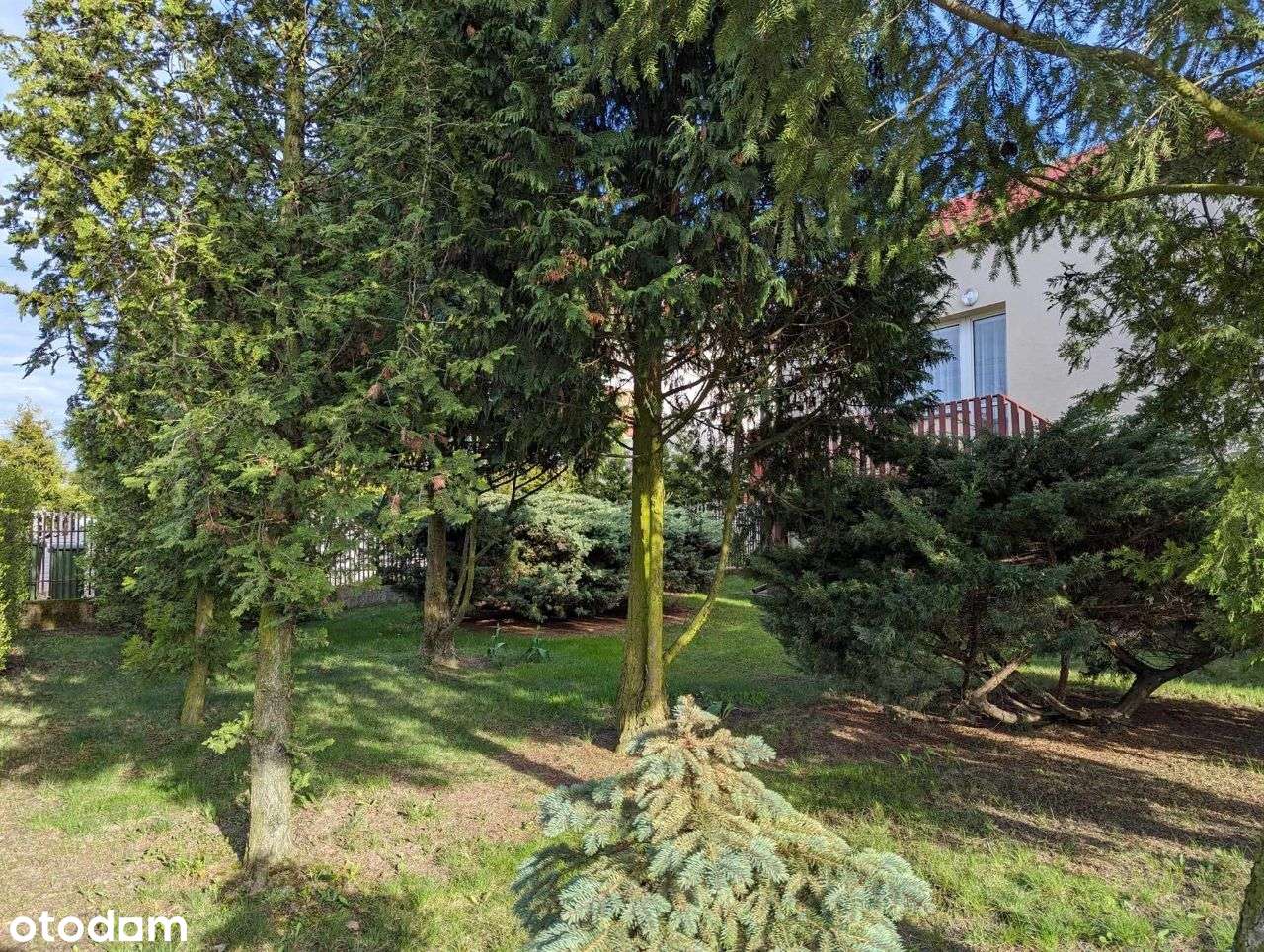 Solidny dom na sprzedaż, Gozdowo - Pełny obrazek: 4/20