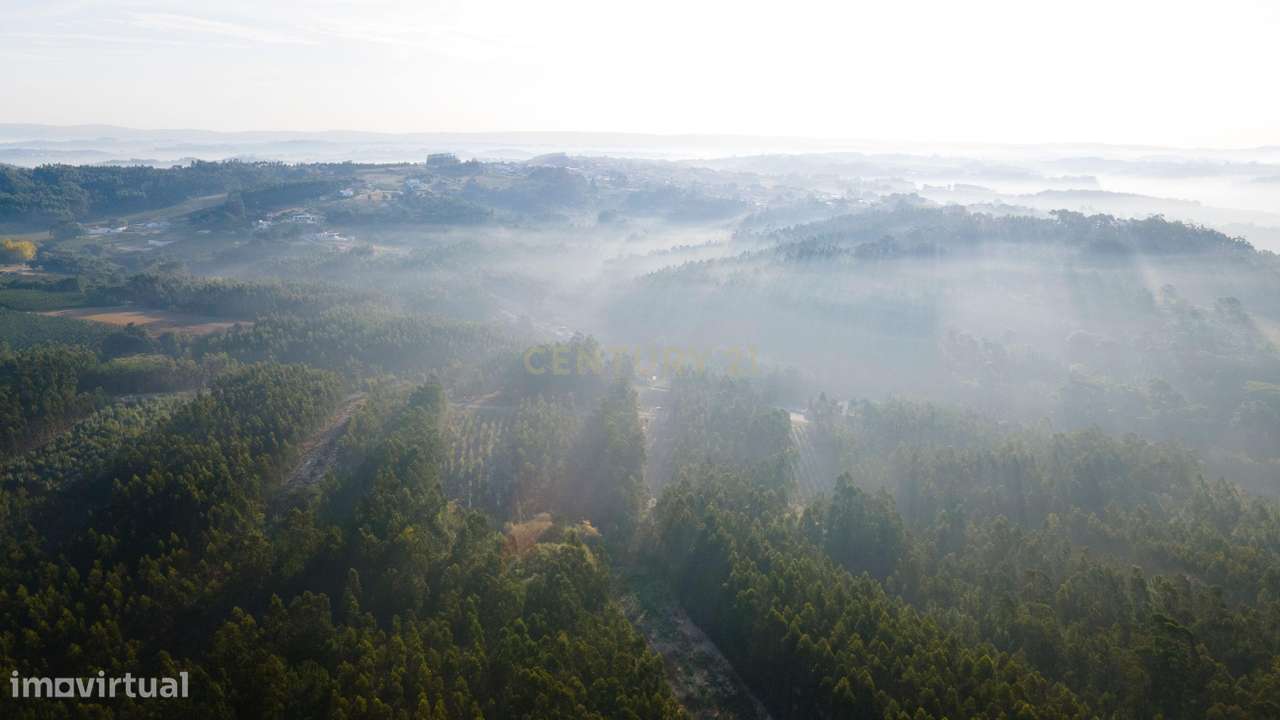 Terreno com Vista Montanha em Salir de Matos, Caldas da Rainha - Grande imagem: 4/9
