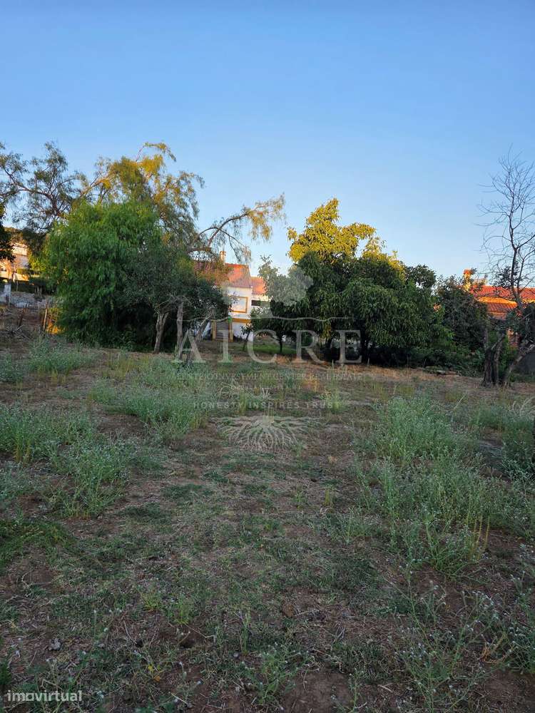 Moradia T2 + Lote de Terreno para construção em Santiago do Escoural-31