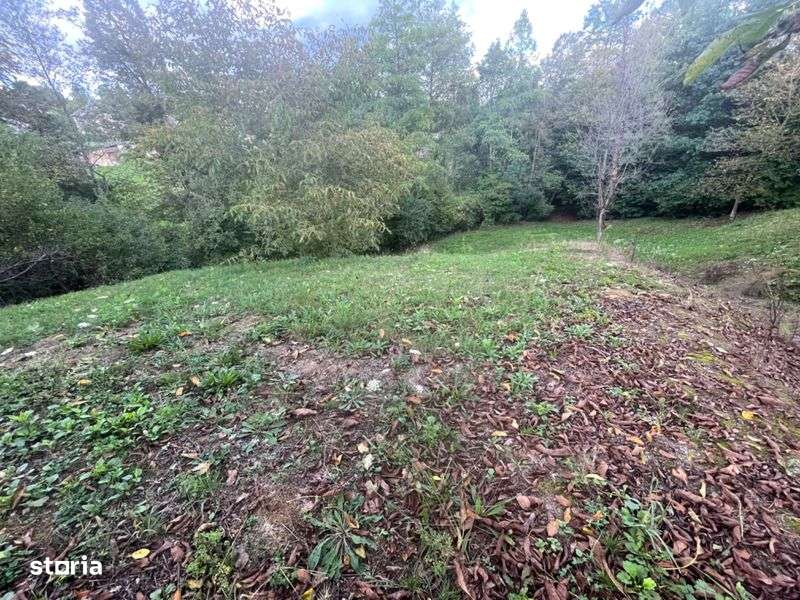 Teren de Vanzare - Imagine principală: 4/8