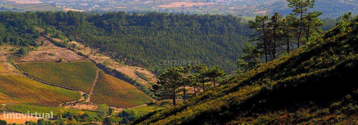 Armazém para Recuperação em Torres Vedras - 70m² por 30.000€ - Grande imagem: 5/13