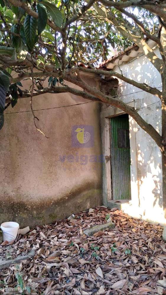 Propriedade antiga  com 2 Moradias e grande potencial de Reconstrução - Grande imagem: 5/35