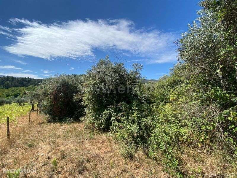 Terreno Rústico / Fundão, Castelejo - Grande imagem: 4/5