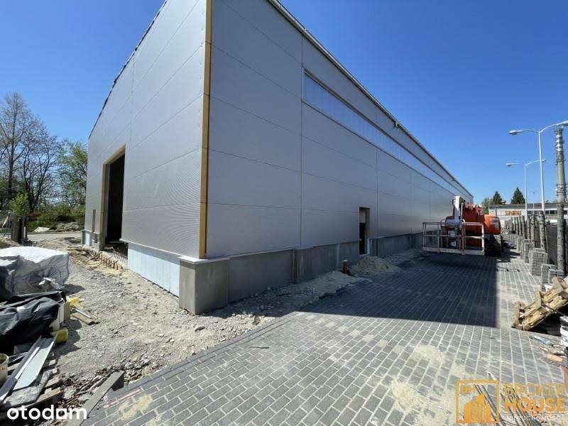 Obiekt, 1250.0 m², Opole - Pełny obrazek: 3/4