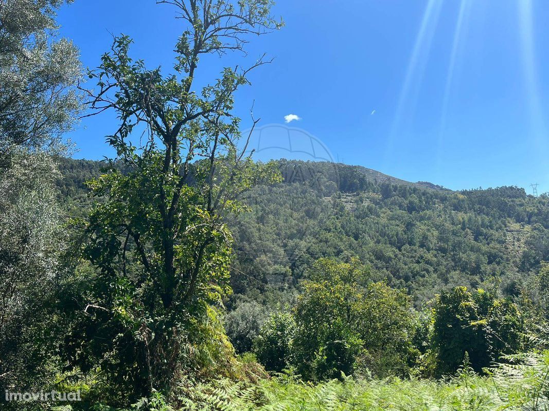 Terreno  para venda