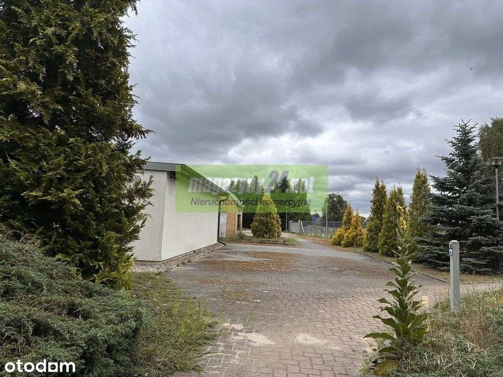 Szczecin, Goleniów, wynajem, hala, magazyn-10