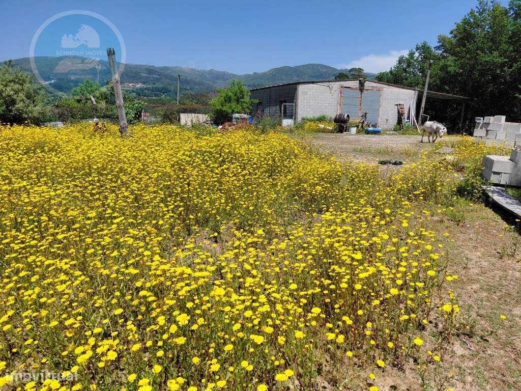 Terreno Construtivo de 8.700 m² com Casa PréFabricada T2, Nascente ...-23
