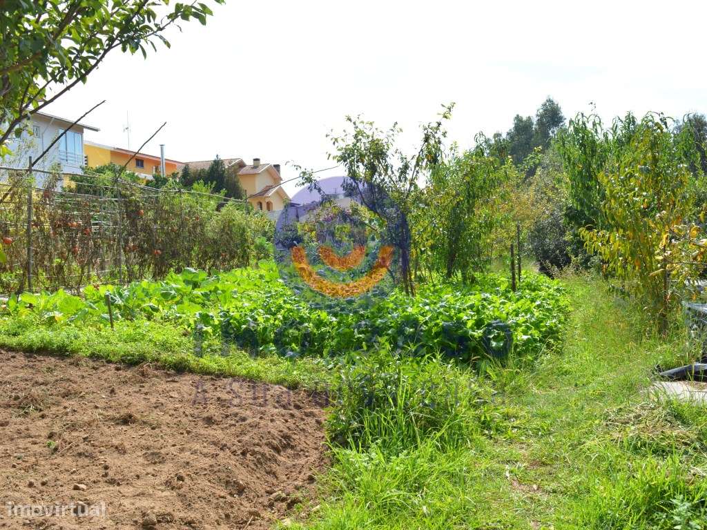 Lote p/ construção de moradia isolada-8