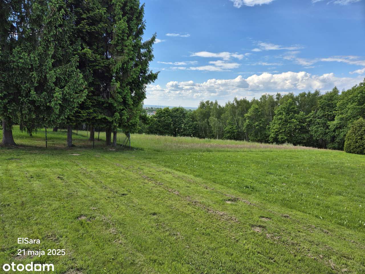 Działka blisko Krakowa i Niepołomic, widokowa,  przy lesie. - Pełny obrazek: 5/11