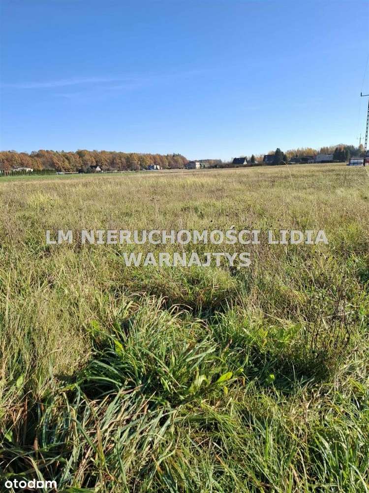 Duża działka w Czuchowie !!-2