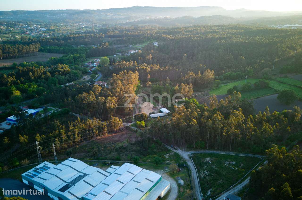 Terreno agrícola em Fragoso-8