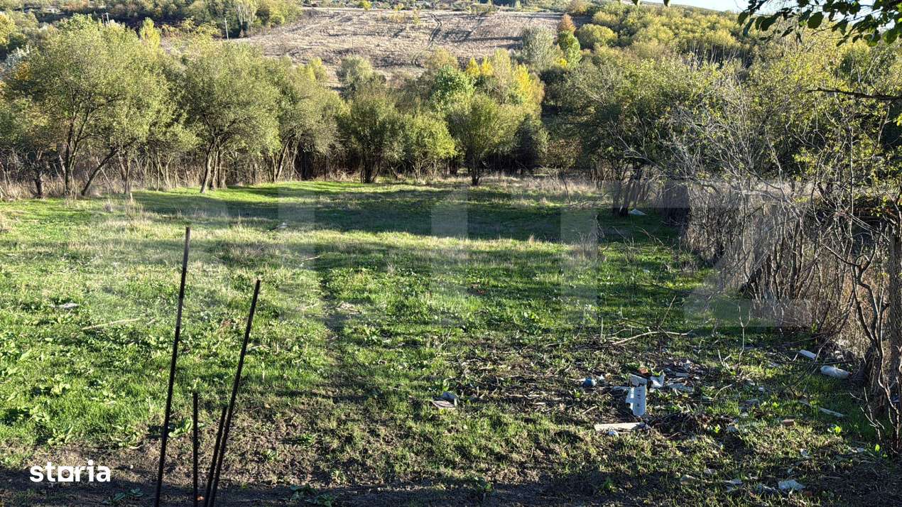 Teren intravilan, minim 2000 mp, front 20 ml , Fratostita, Filiasi - Imagine principală: 4/5