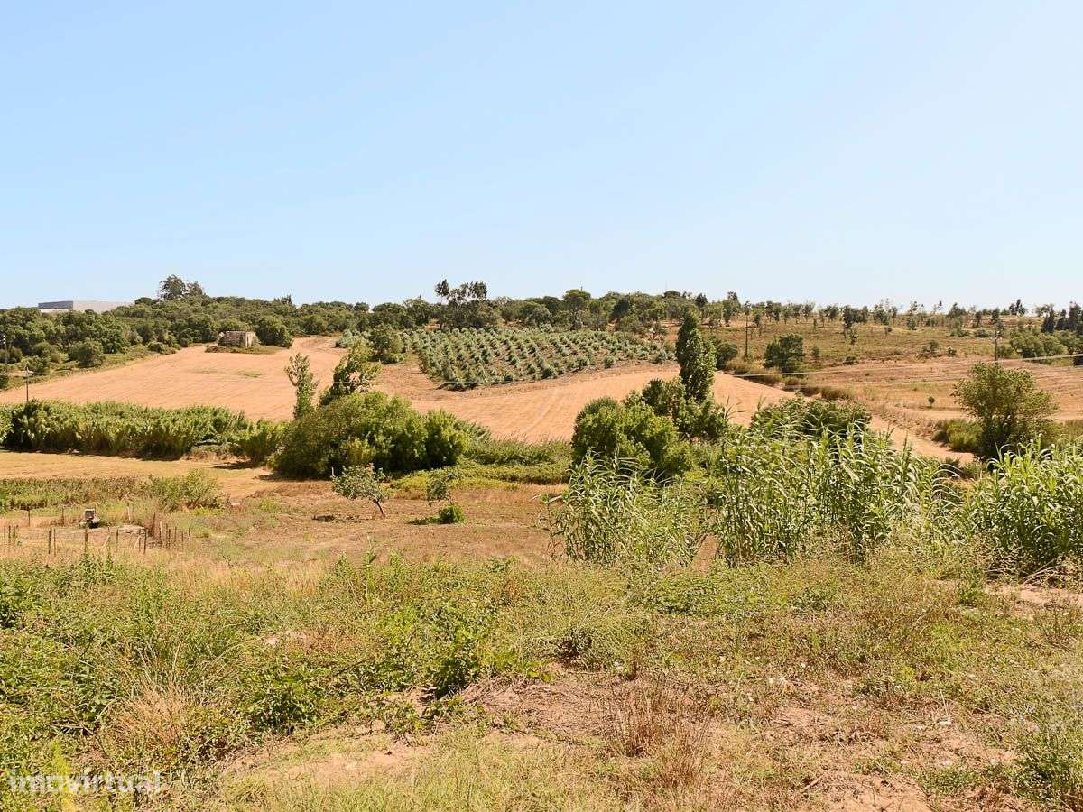 Terreno com 6260m2 destinado á construção de moradia independente. - Grande imagem: 4/15