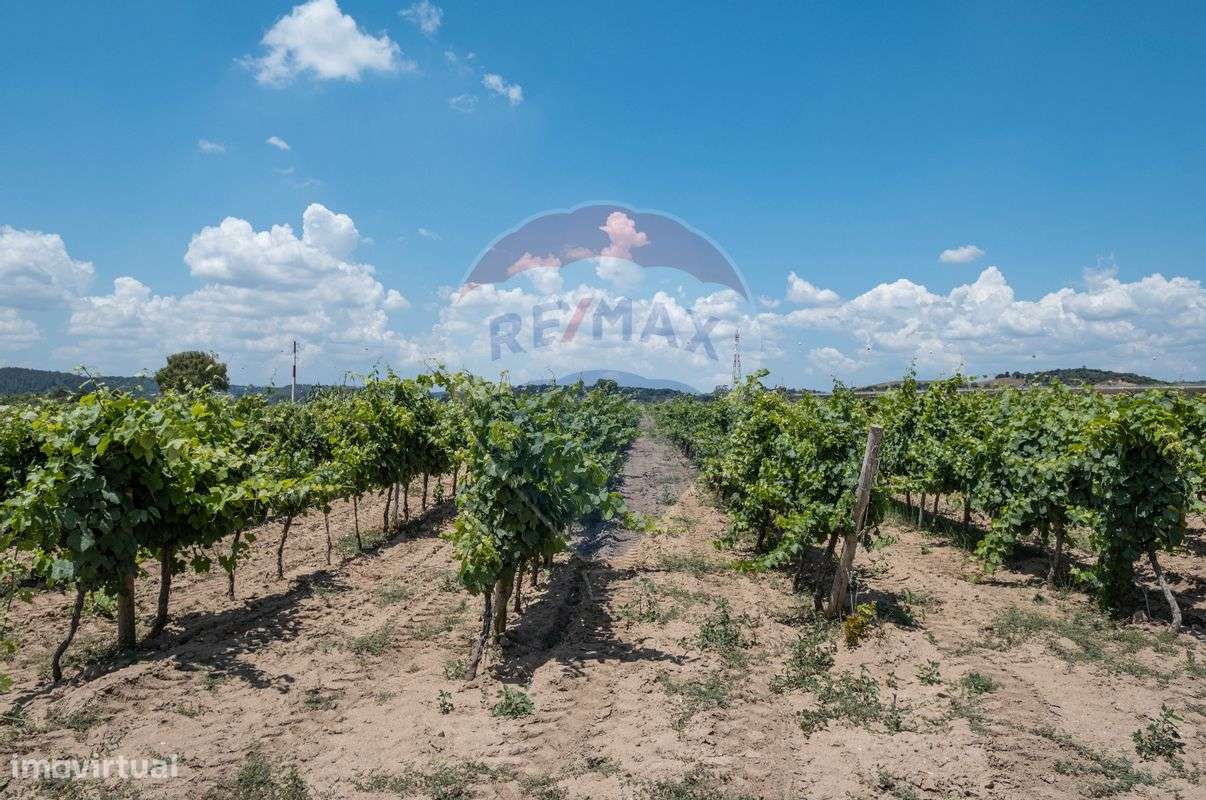 Terreno  para venda - Grande imagem: 2/7