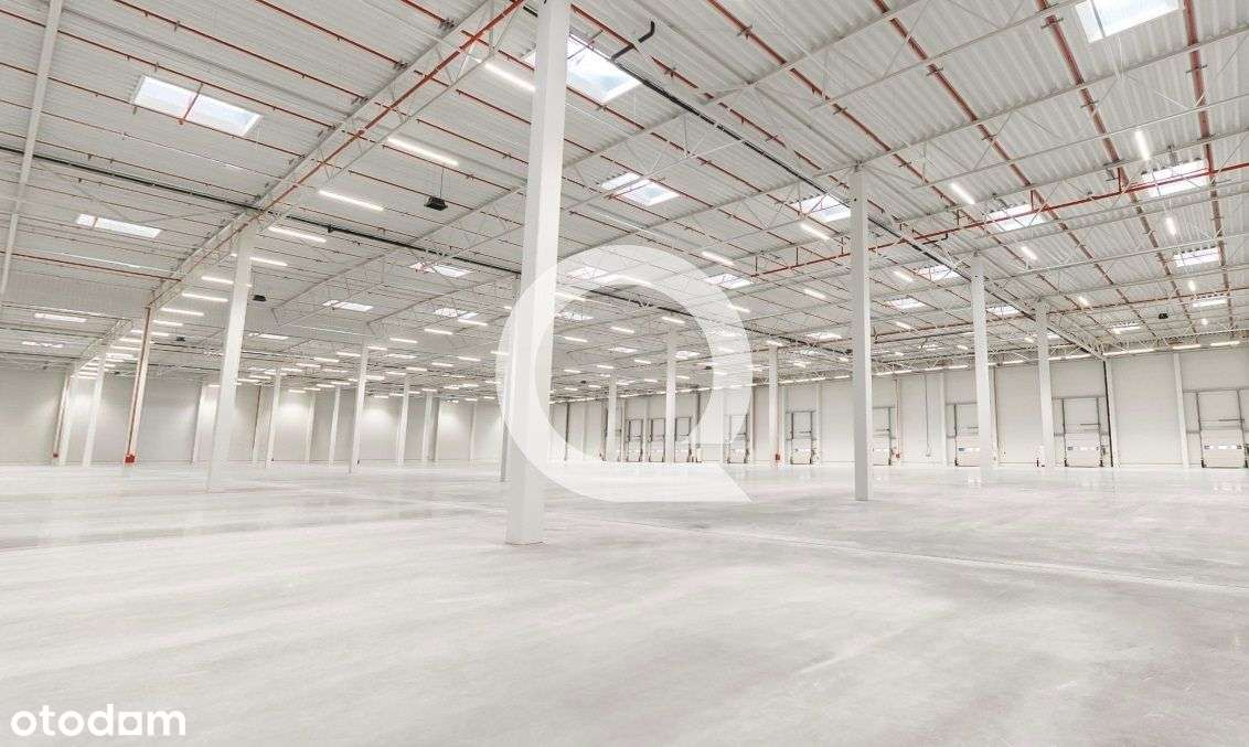 A-Klasowy Magazyn Bezpośrednio Przy S3! - Pełny obrazek: 2/2