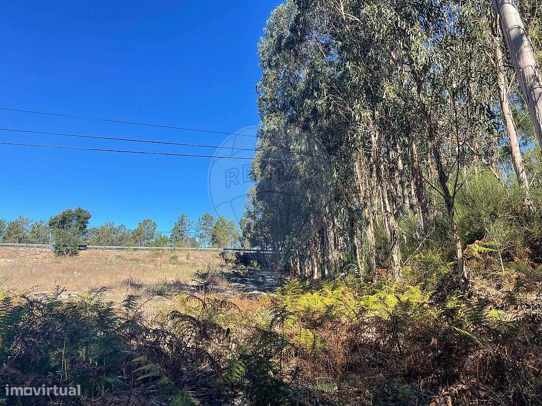 Terreno  para venda - Grande imagem: 5/11