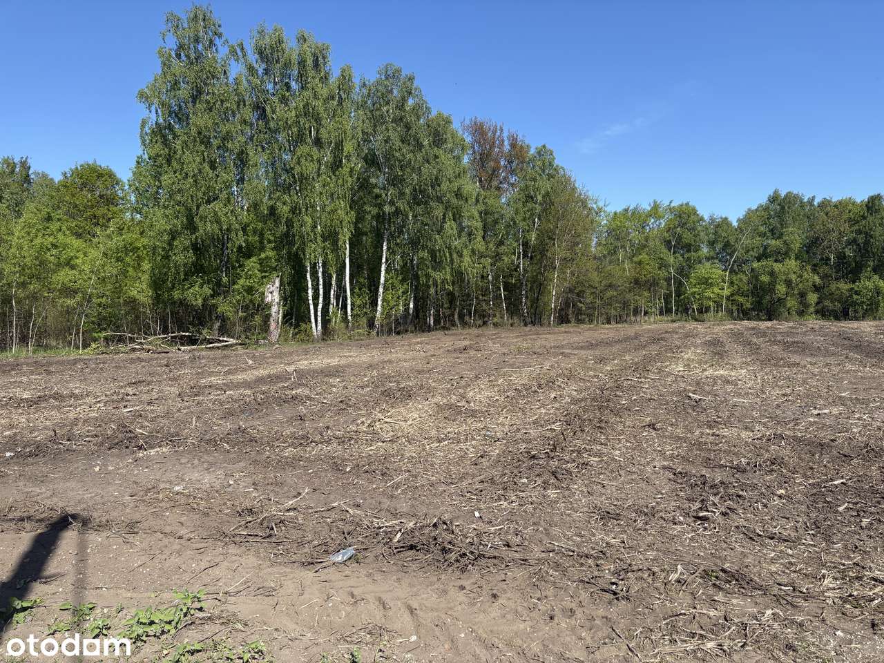 działka na sprzedaż 4000 m2 Kobyłka ul. Wesoła - Pełny obrazek: 3/4