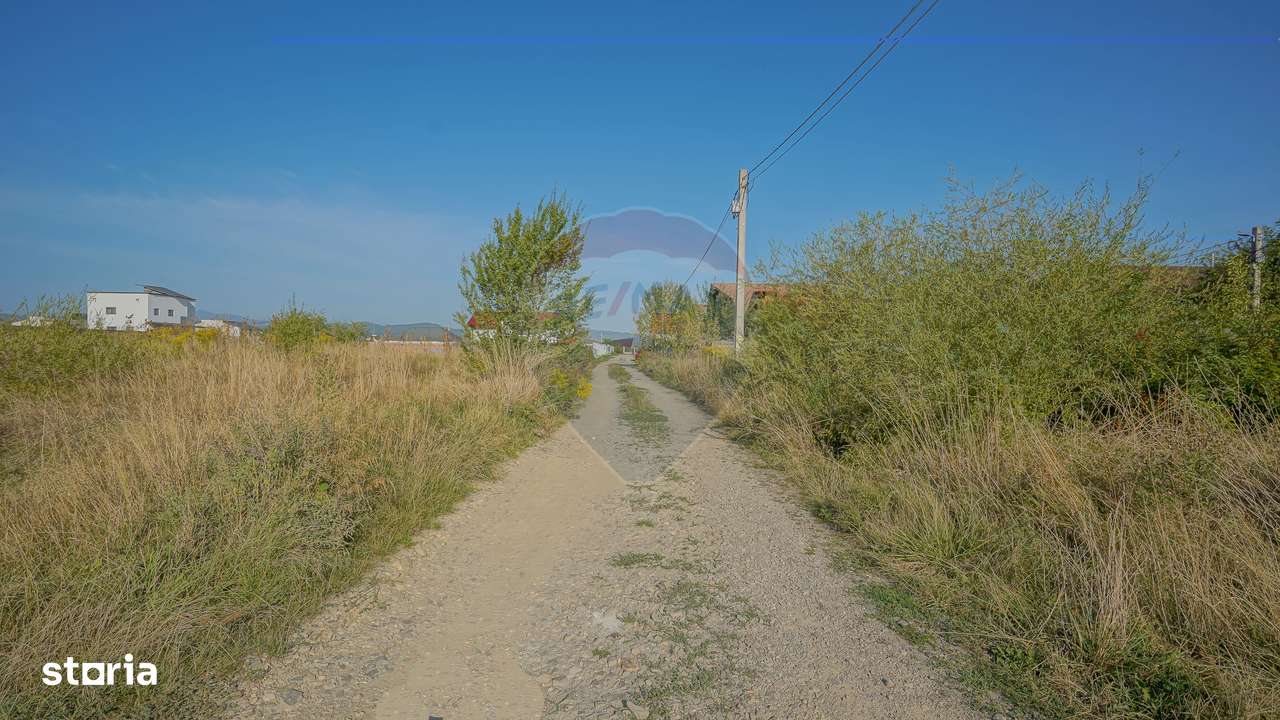 Teren de vânzare 1,000mp Cristian  - intravilan - Imagine principală: 5/5