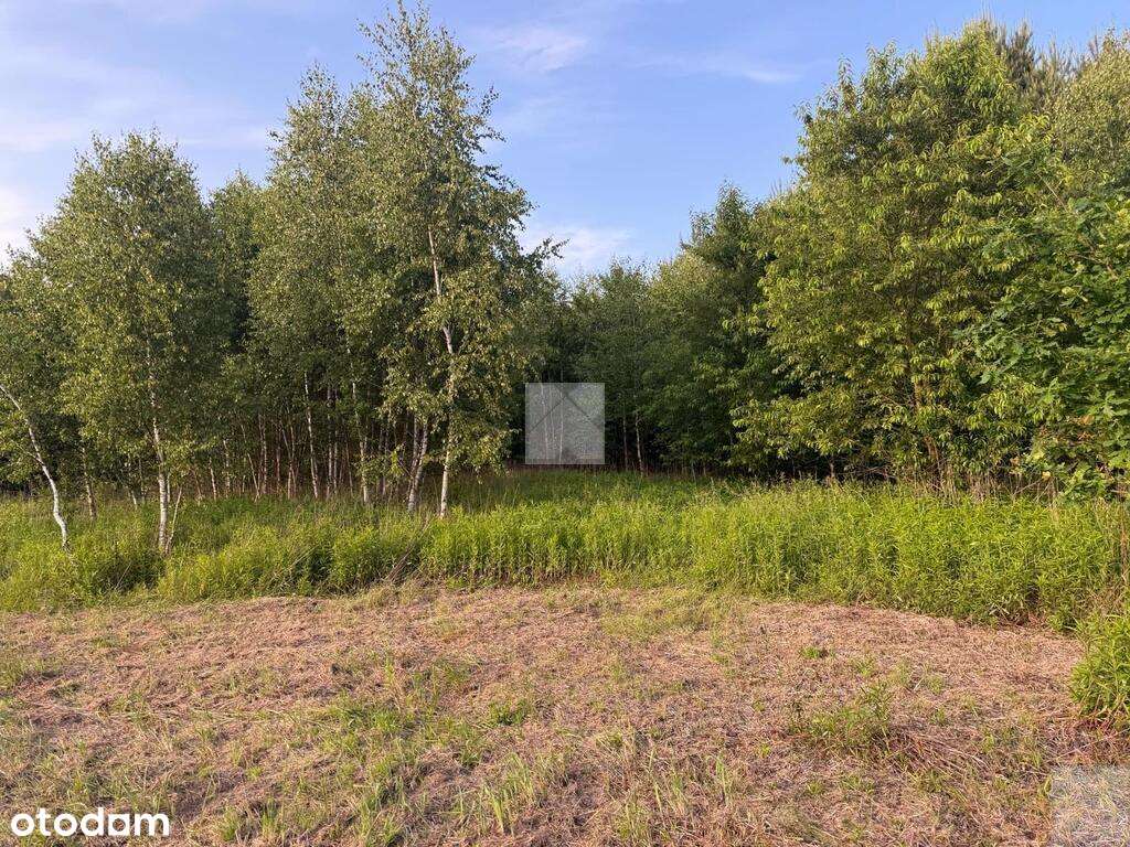 Działka rekreacyjna | WZ | Cienkie-5