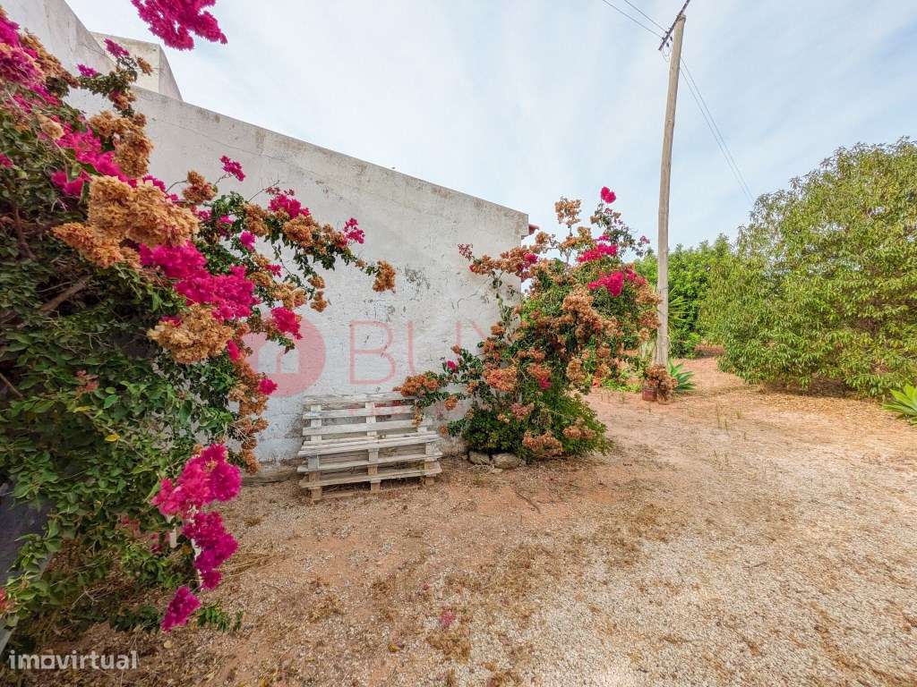 Moradia Rústica T6 com 5 Hectares em Tunes, Silves-44