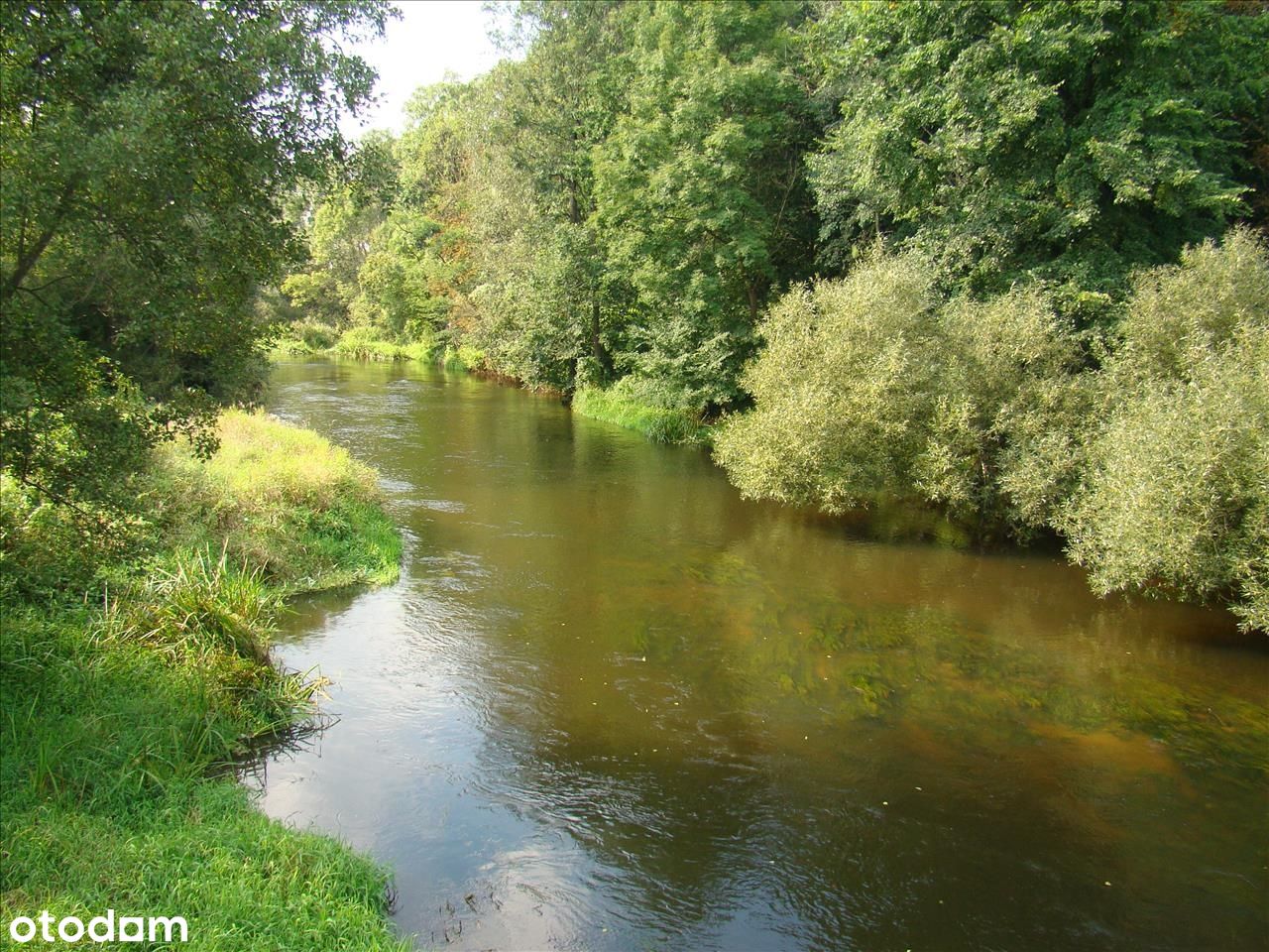 Działka 8 km od S19 - idealna pod siedlisko