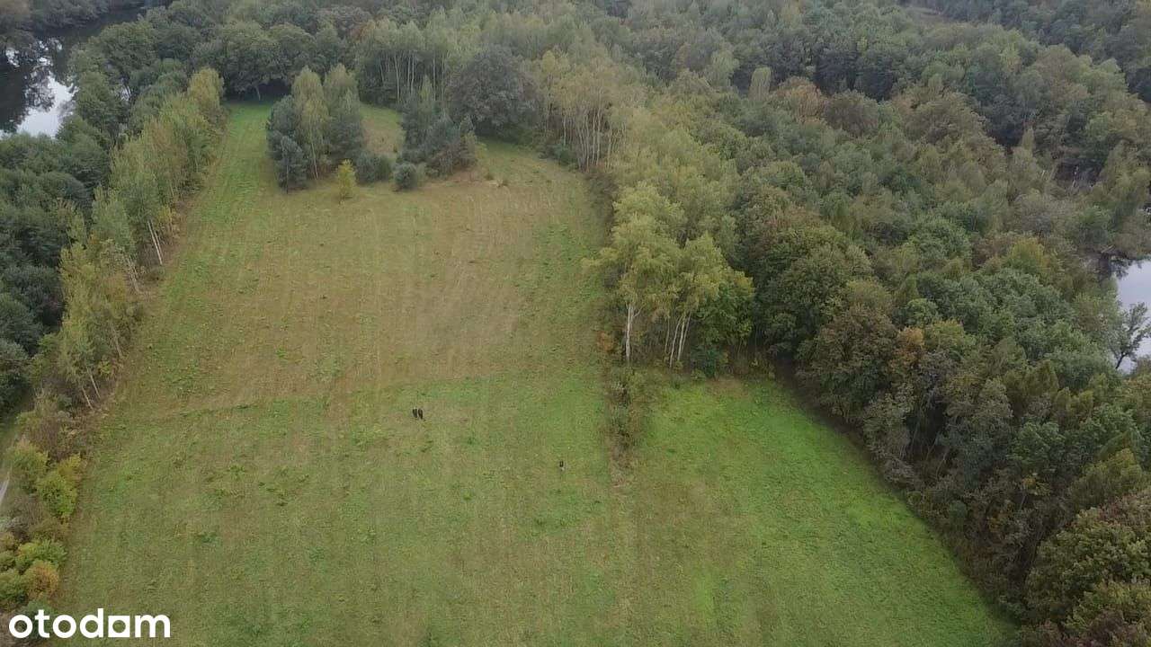 PROMOCJA - Działki budowlane nad jeziorem-9