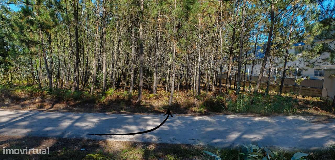 Terreno Plano  Para Construção Industrial - Grande imagem: 5/6