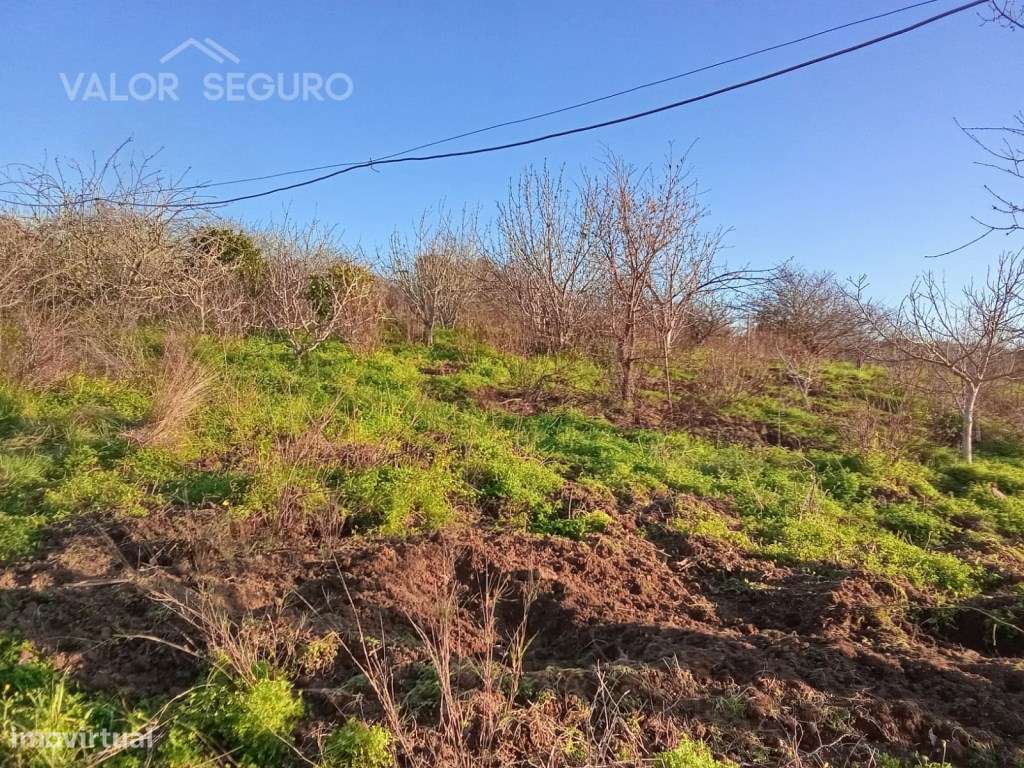 Terreno rústico em Vale Serrão, Pereiro de Palhacana, Alenquer-12
