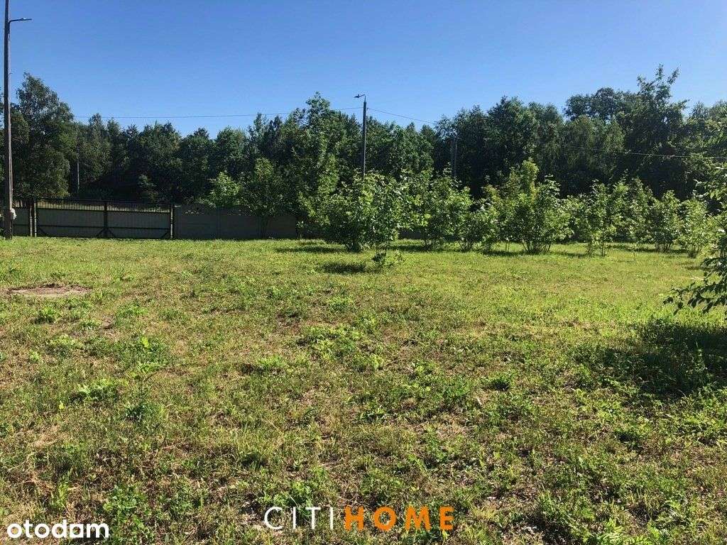Do wynajęcia działka w Woli Duckiej