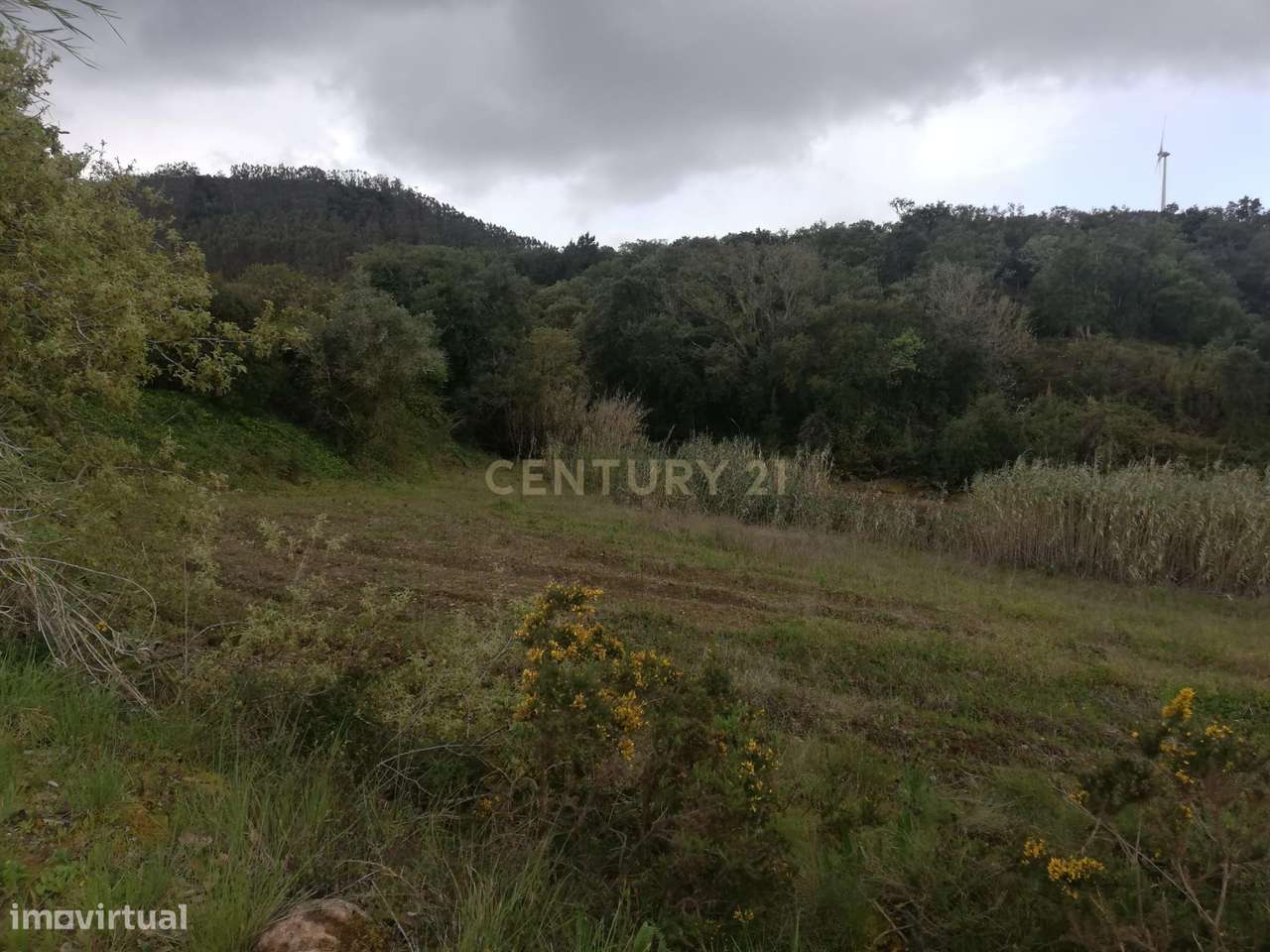 Terreno Agrícola na Zona Oeste - Grande imagem: 5/14