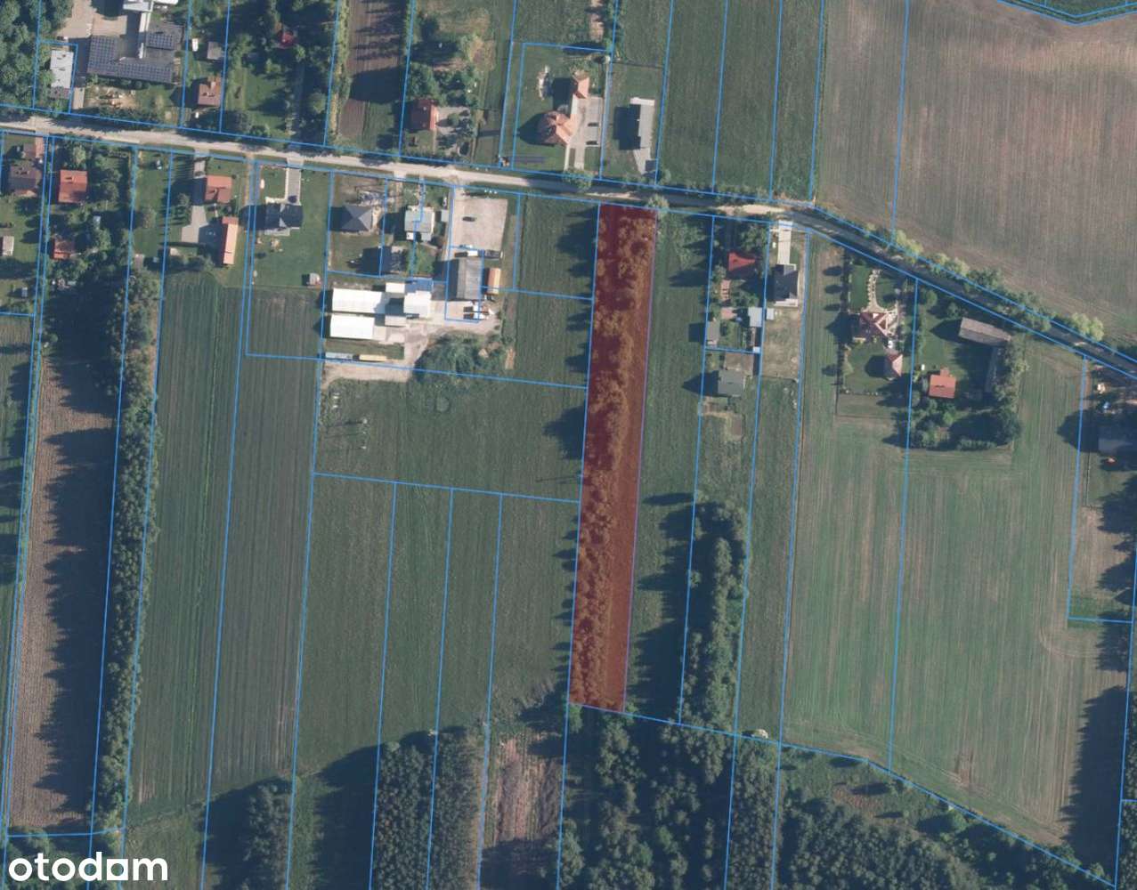 Brzóze, działka 6423m2-7