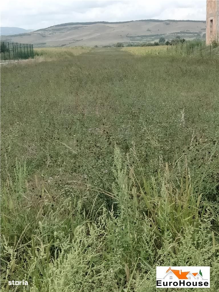 Teren de vanzare in Micesti-Alba Iulia.