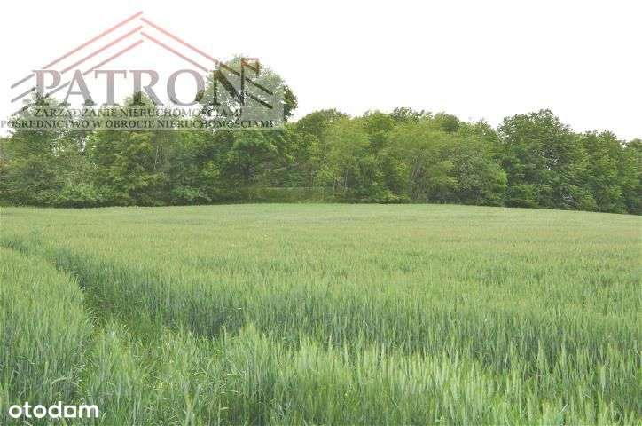 Działka budowlana w malowniczej wsi Włodzice Małe.-13